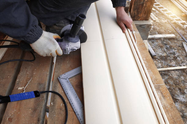 Best Vinyl Siding Installation  in Hobbs, NM
