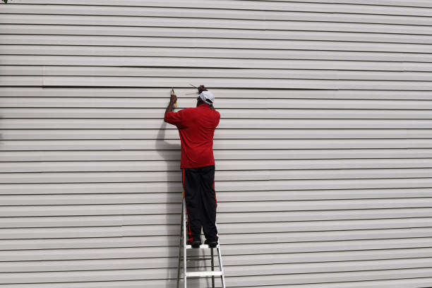 Best Steel Siding Installation  in Hobbs, NM