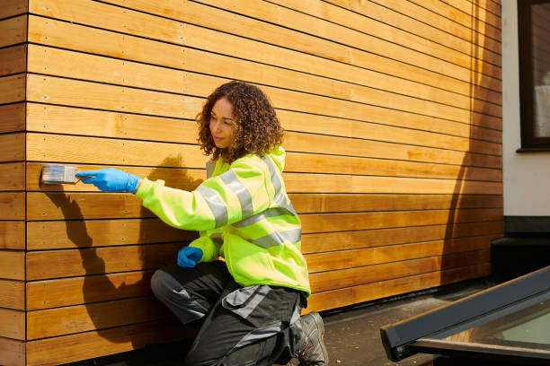 Best Vinyl Siding Installation  in Hobbs, NM